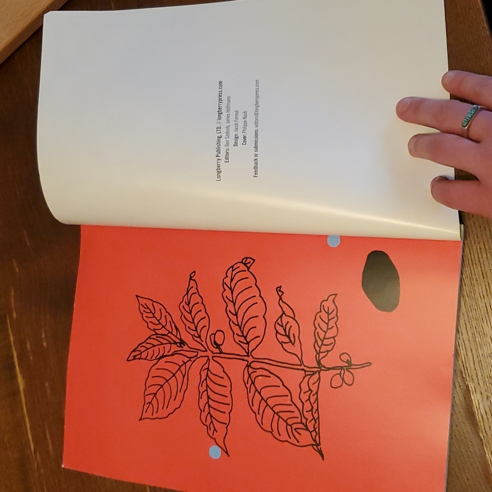 Longberry Press Issue 2 - Spring 2016 - RARE - Picture 4 of 4